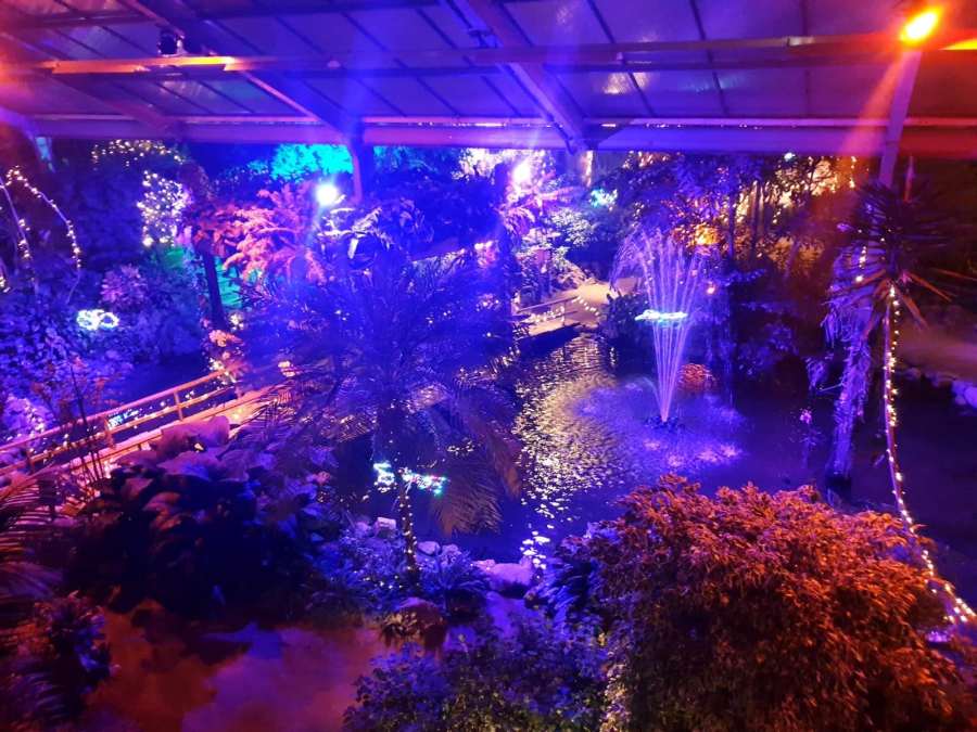 Orchideeënhoeve Luttelgeest